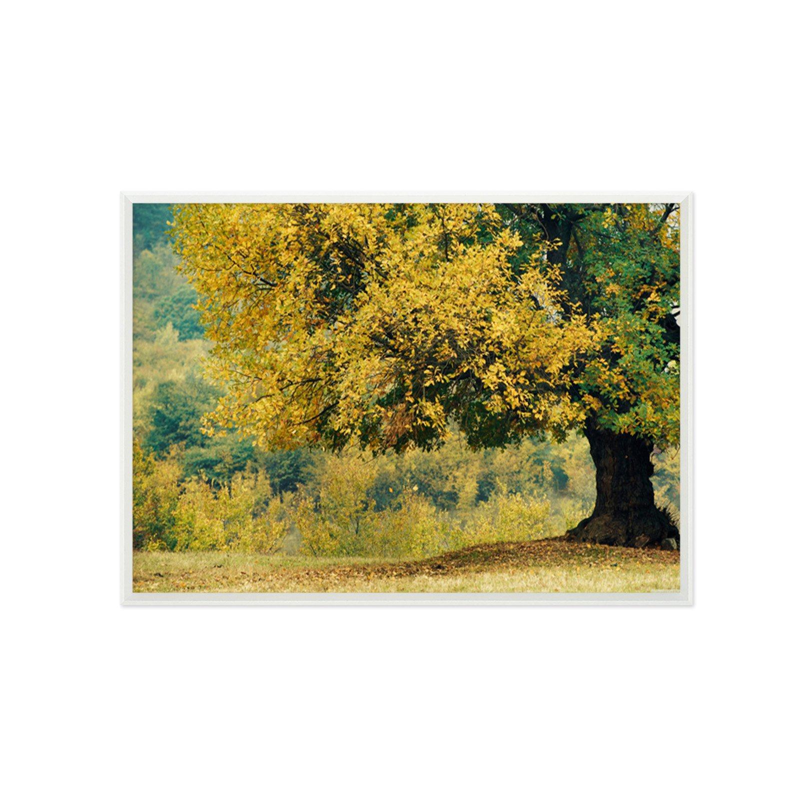 3D Lush Trees 0198 Fake Framed Print Painting Wallpaper AJ Creativity Home