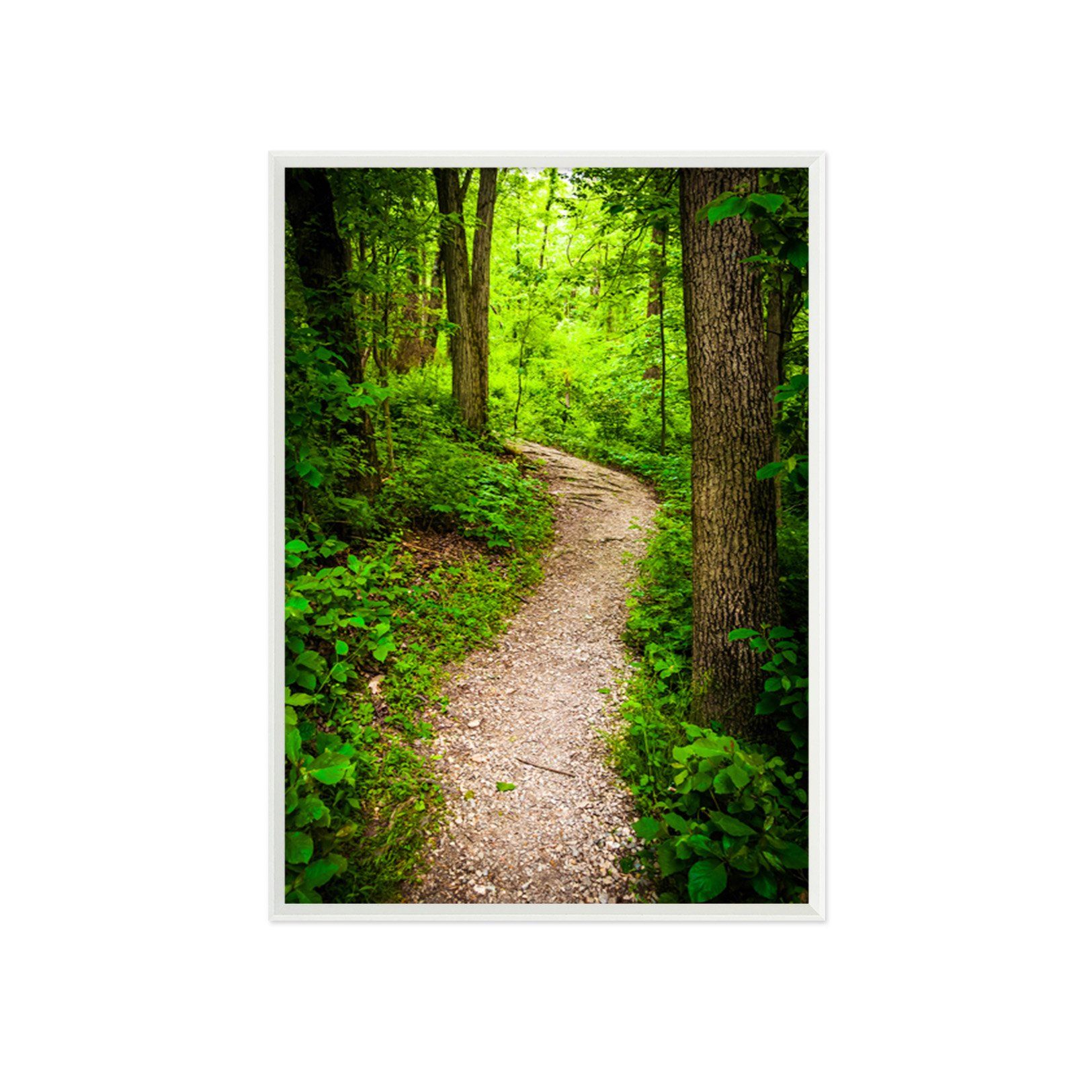 3D Forest Trail 109 Fake Framed Print Painting Wallpaper AJ Creativity Home