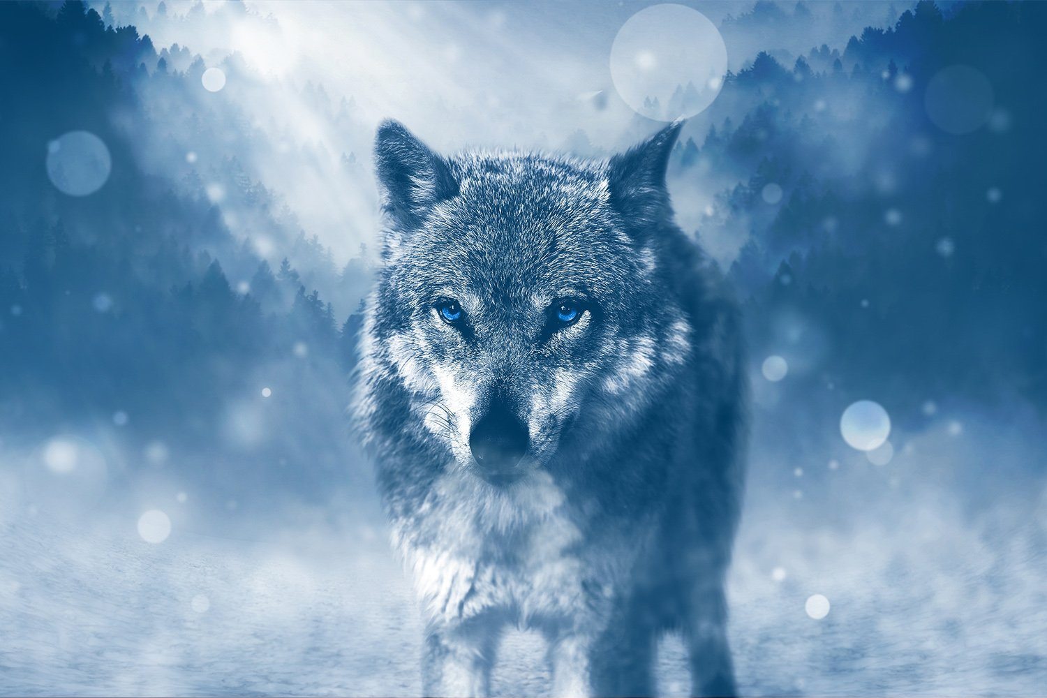 3D Wolf 647 Animal Non Slip Rug Mat Mat AJ Creativity Home
