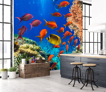 3D Red Fish 2022 Wall Mural Wall Murals