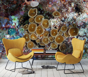 3D Sea Coral 2054 Wall Mural Wall Murals