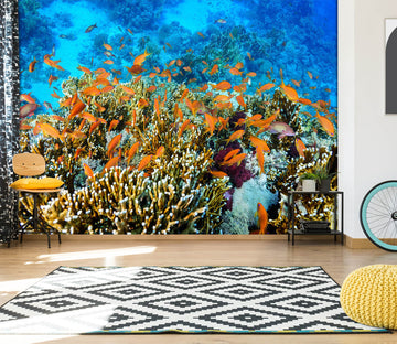 3D Coral Fish 2071 Wall Mural Wall Murals