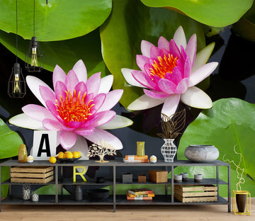 3D Pink Lotus 2005 Wall Mural Wall Murals