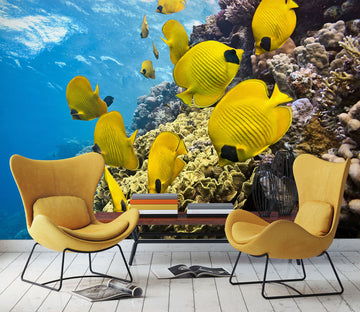 3D Sea Fish 2011 Wall Mural Wall Murals