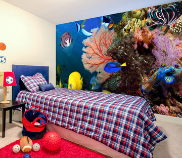 3D Red Coral 2013 Wall Mural Wall Murals
