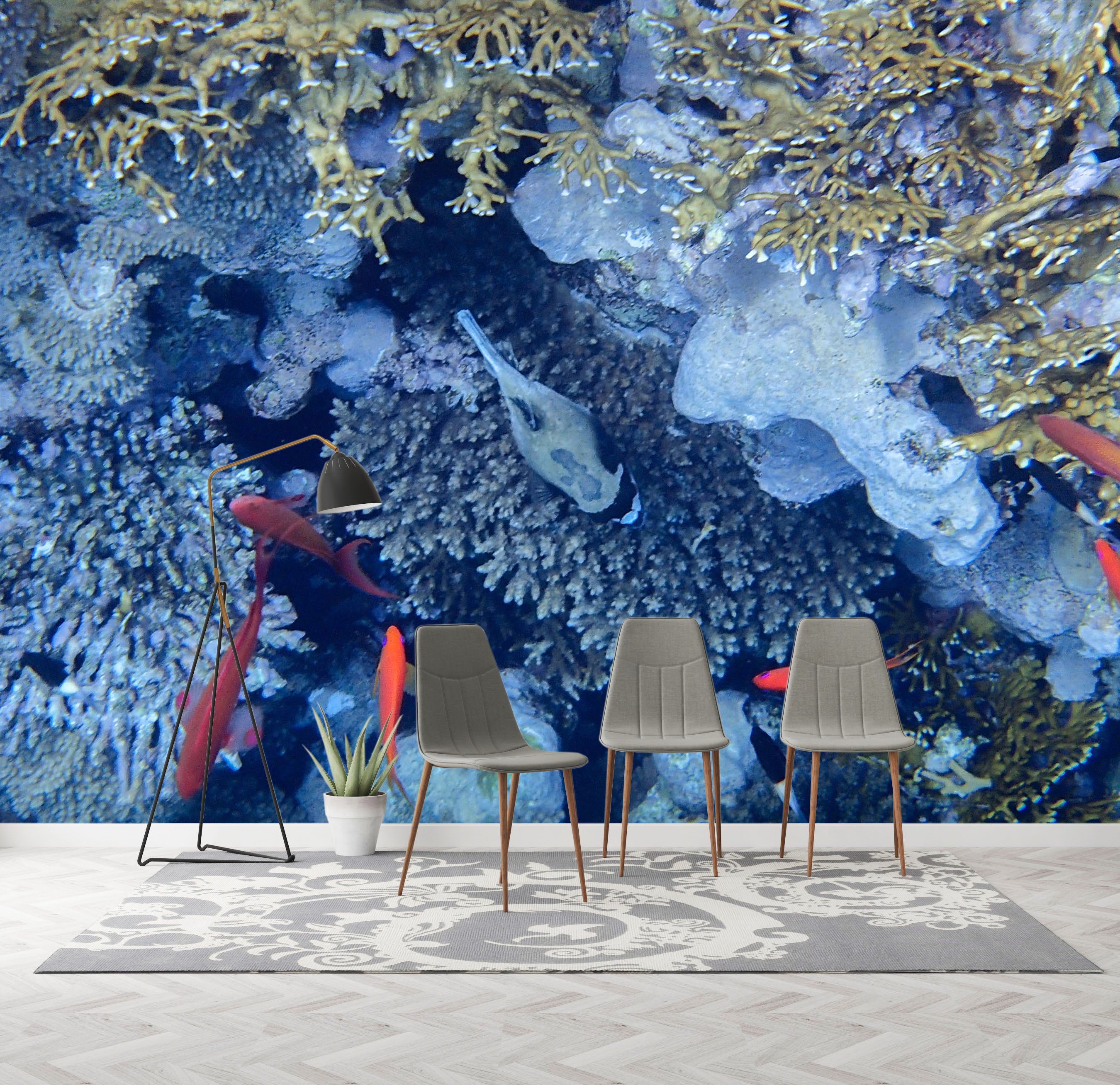 3D Coral Fish 2055 Wall Mural Wall Murals