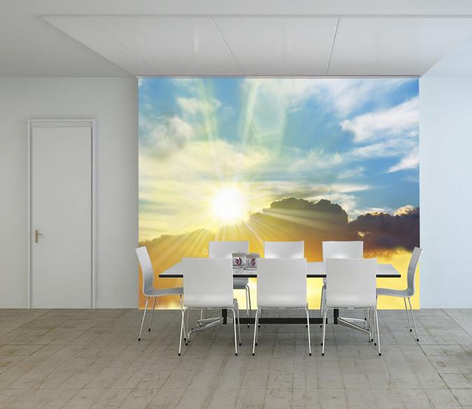 Wild Bright Sunshine Wallpaper AJ Wallpaper 