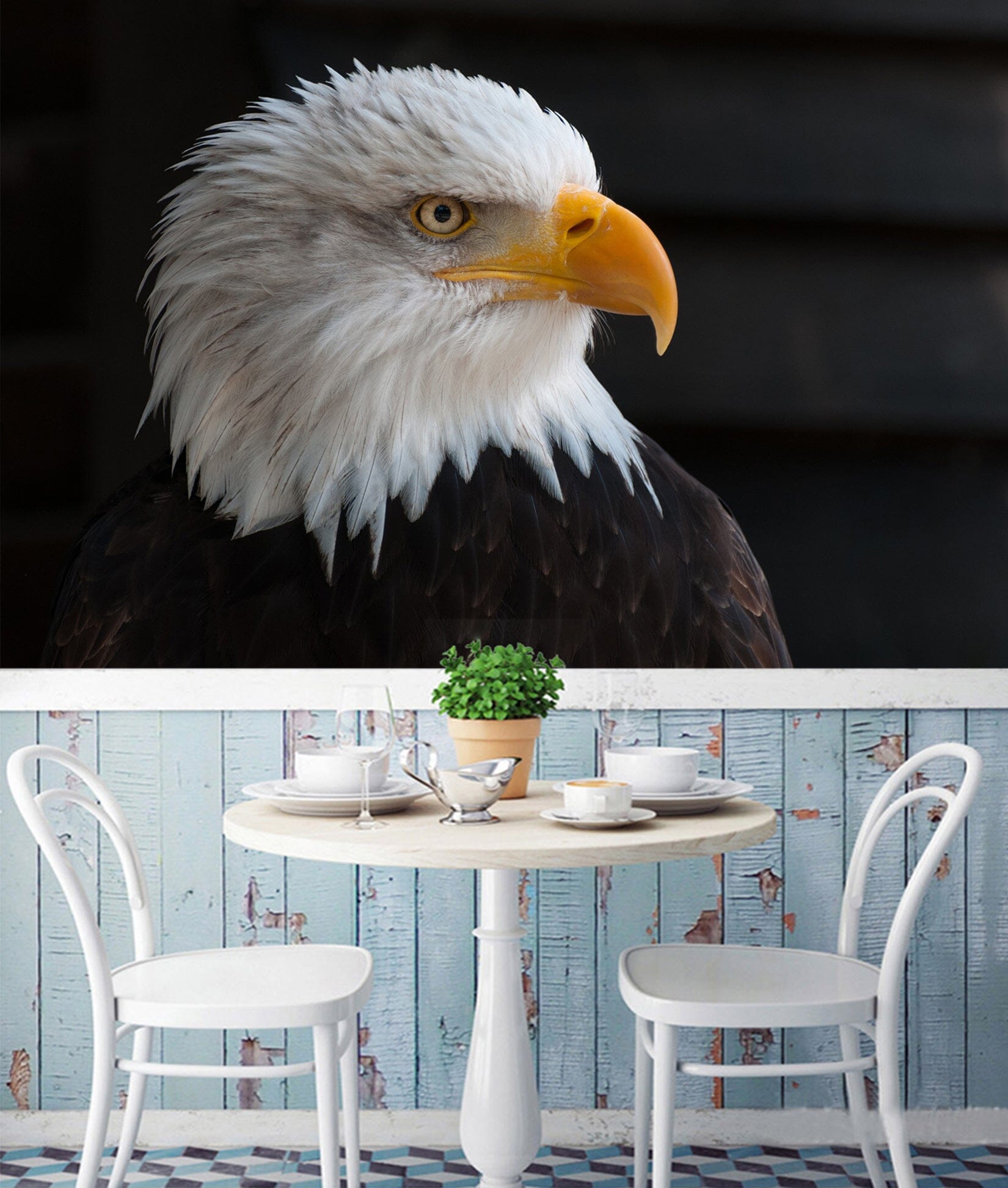 3D White Eagle 138 Wall Murals Wallpaper AJ Wallpaper 2 