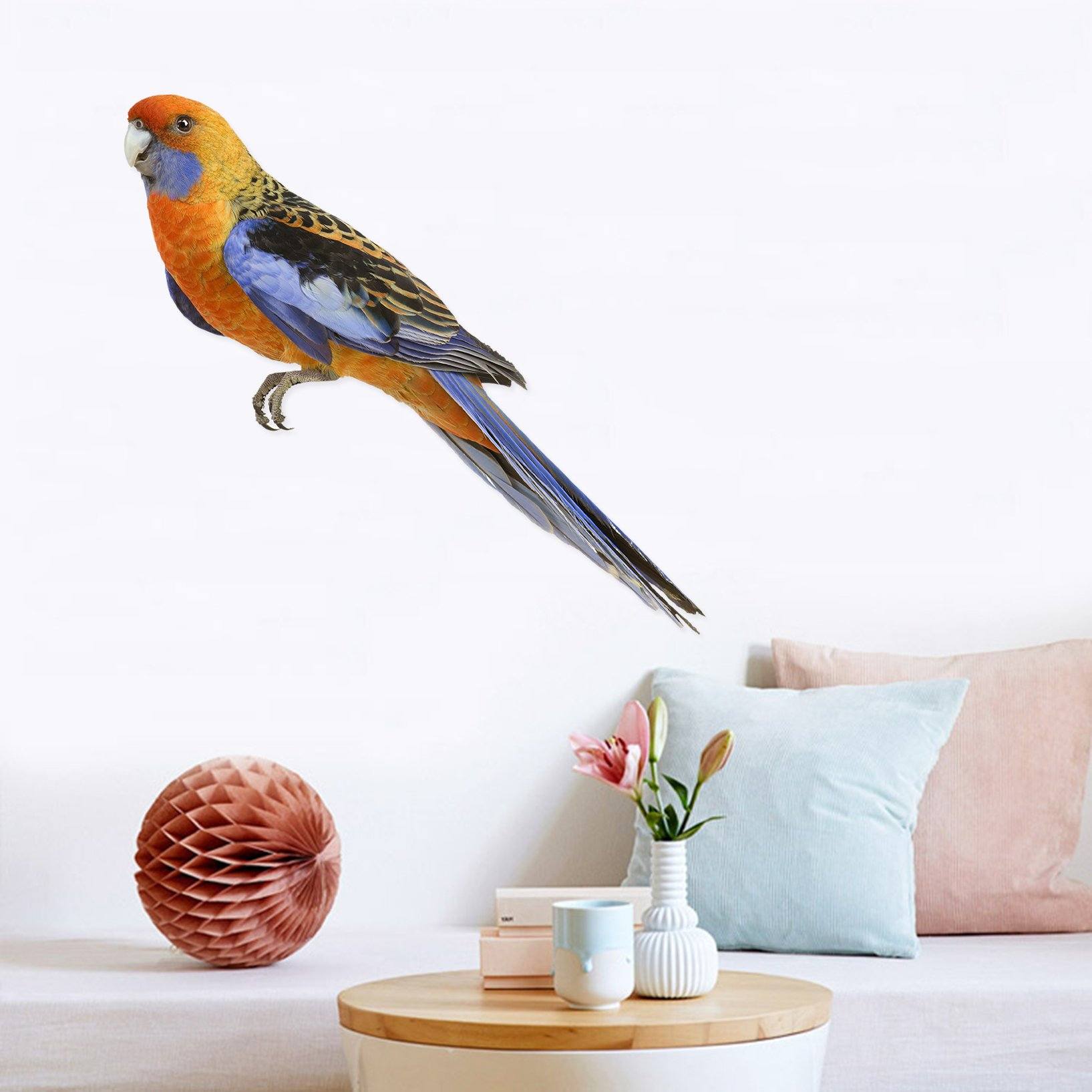 3D Parrot Eye 179 Animals Wall Stickers Wallpaper AJ Wallpaper 