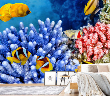3D Red Coral Fish 363 Wall Murals