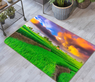 3D Grass 29134 Non Slip Rug Mat