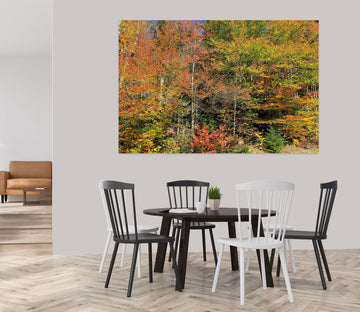 3D Forest 61201 Kathy Barefield Wall Sticker