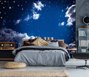 3D Starry Sky 1651 Wall Murals Wallpaper AJ Wallpaper 2 