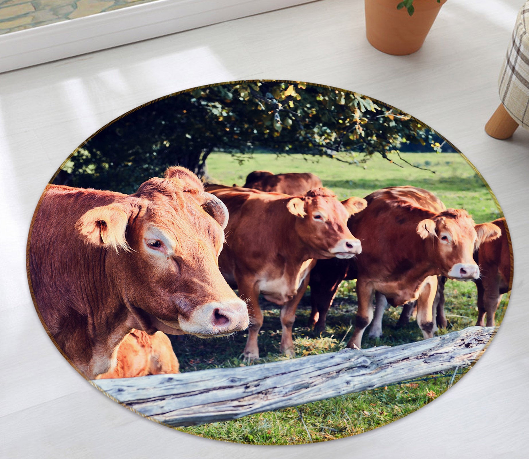 3D Cattle Herd 37172 Animal Round Non Slip Rug Mat
