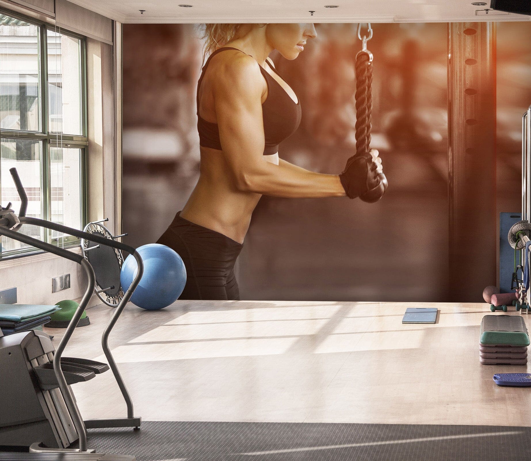 3D Muscle Girl 265 Wall Murals Wallpaper AJ Wallpaper 2 