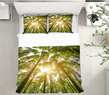 3D Woods Sunshine 16114 Bed Pillowcases Quilt