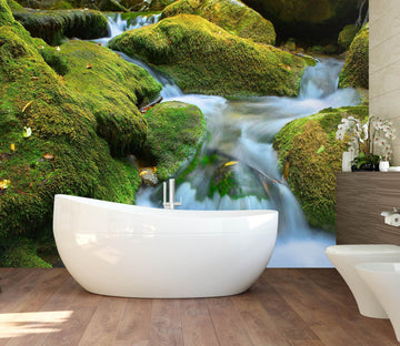 3D Mountain Stream 1631 Wall Murals Wallpaper AJ Wallpaper 2 