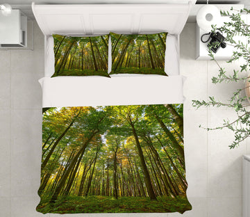 3D Forest 16076 Bed Pillowcases Quilt