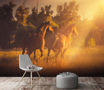 3D Dusk Horse Herd 108 Wall Murals Wallpaper AJ Wallpaper 2 