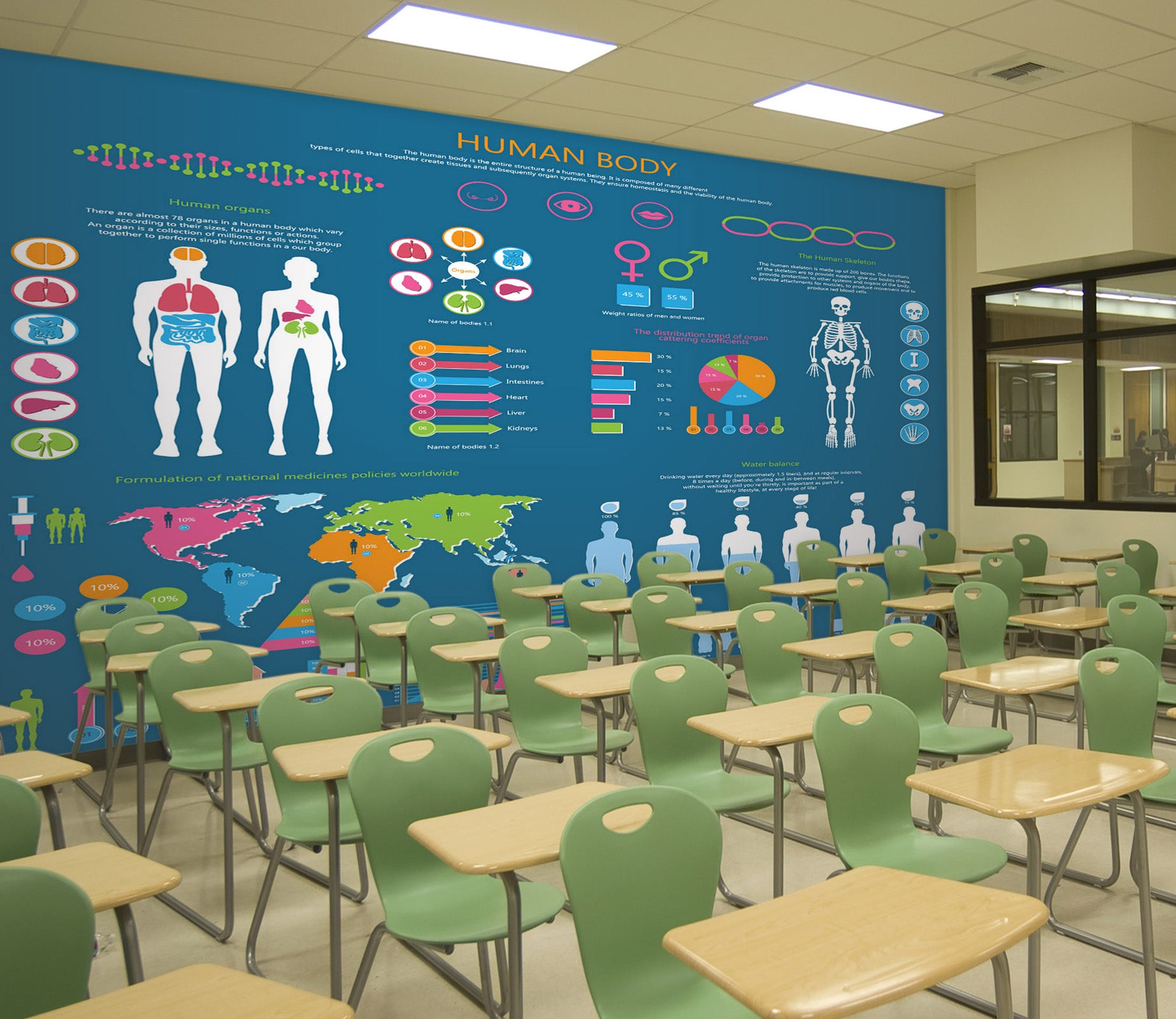 3D Human Body 169 Wall Murals