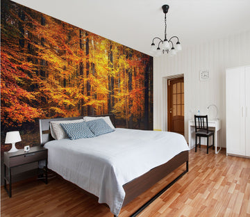 3D trees in fall 11 Wall Murals Wallpaper AJ Wallpaper 