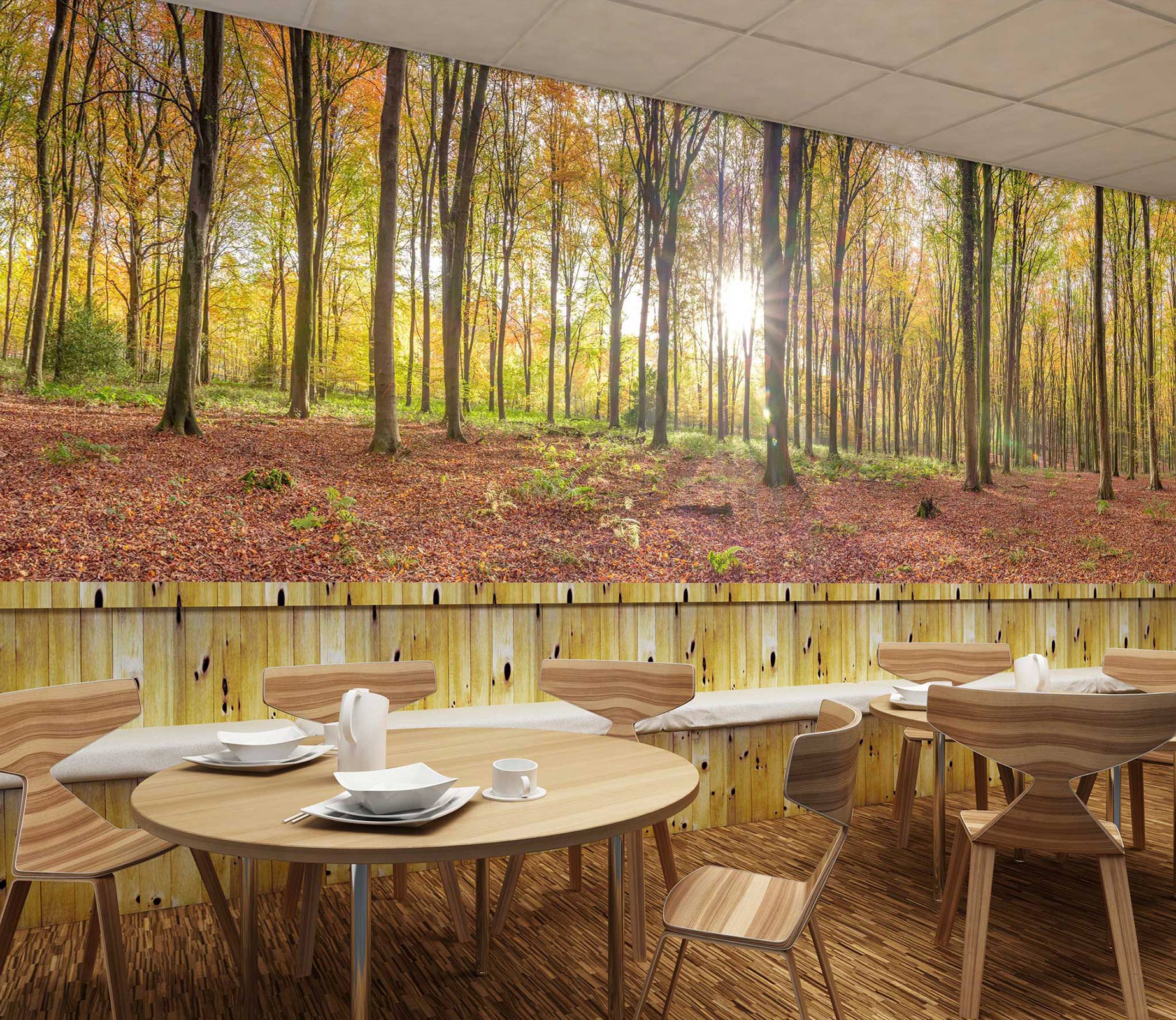 3D Sunshine Forest 6274 Assaf Frank Wall Mural Wall Murals