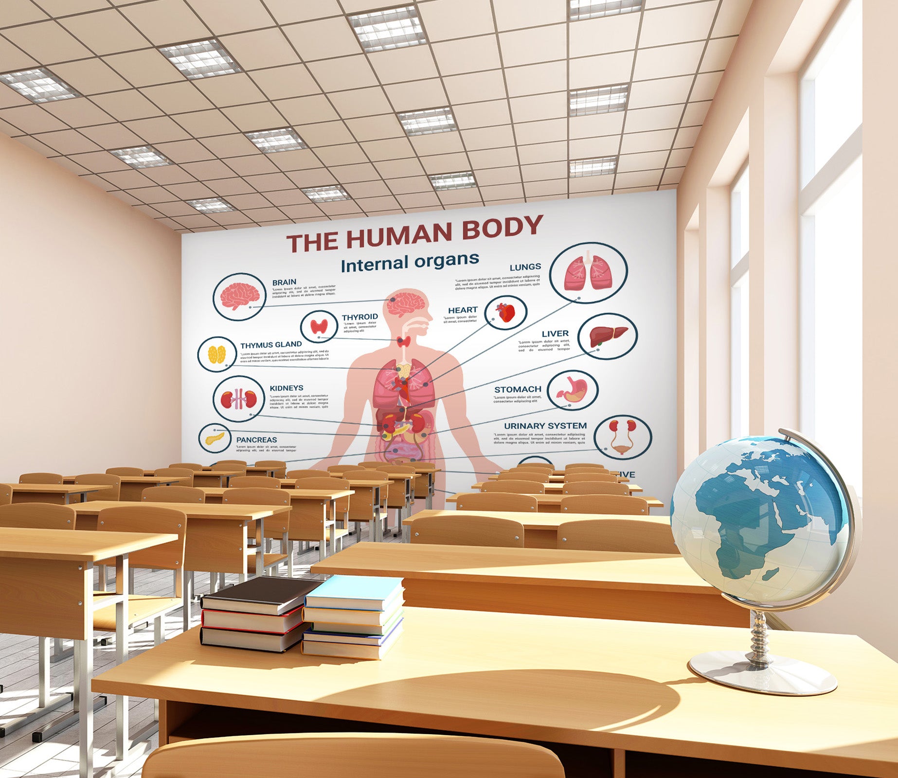 3D Human Organs 188 Wall Murals