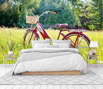 3D Green Grass Bicycle 055 Vehicle Wall Murals