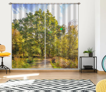 3D Forest Path 038 Assaf Frank Curtain Curtains Drapes