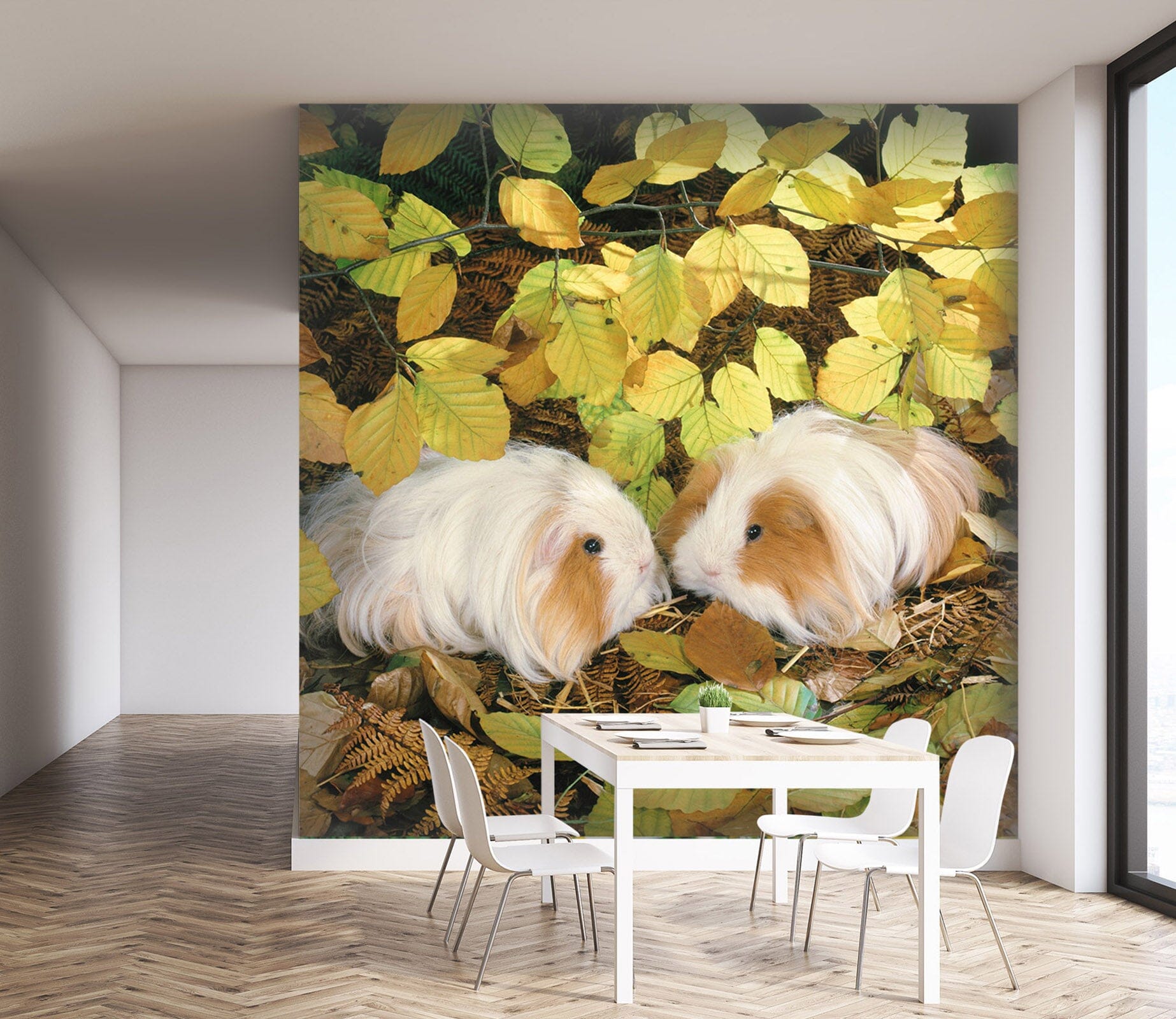 3D Long Haired Rabbit 172 Wall Murals Wallpaper AJ Wallpaper 2 