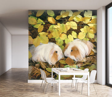 3D Long Haired Rabbit 172 Wall Murals Wallpaper AJ Wallpaper 2 