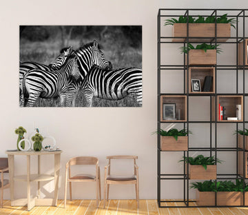 3D Zebra 133 Animal Wall Stickers Wallpaper AJ Wallpaper 2 