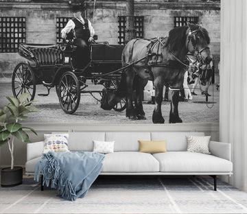 3D White Caravan 092 Vehicle Wall Murals