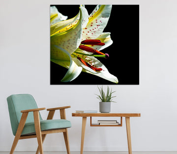3D Lily Blossoms 031 Kathy Barefield Wall Sticker Wallpaper AJ Wallpaper 2 