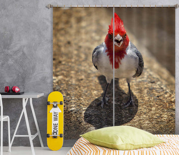 3D Red Crown 067 Kathy Barefield Curtain Curtains Drapes Curtains AJ Creativity Home 