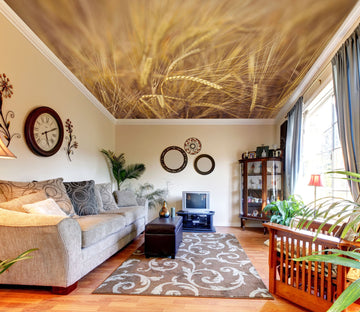 3D Yellow Wheat Field 2558 Assaf Frank Ceiling Wallpaper Murals