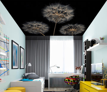 3D Black Dandelion 2584 Assaf Frank Ceiling Wallpaper Murals