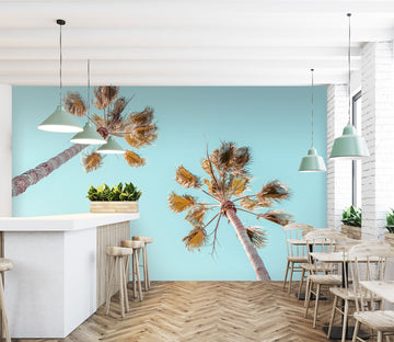 3D Sky Coconut Tree 6250 Assaf Frank Wall Mural Wall Murals