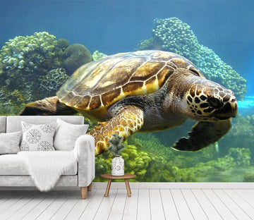 3D Coral Turtle 433 Wall Murals