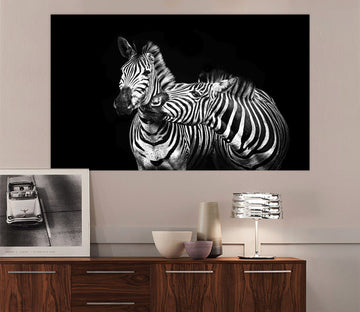 3D Zebra Play 136 Animal Wall Stickers Wallpaper AJ Wallpaper 2 