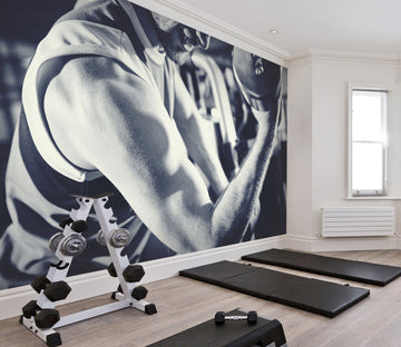 3D One-handed Dumbbell 046 Wall Murals Wallpaper AJ Wallpaper 2 