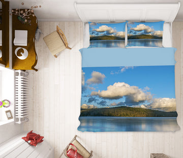 3D Ice Swept Clouds 1001 Jerry LoFaro bedding Bed Pillowcases Quilt