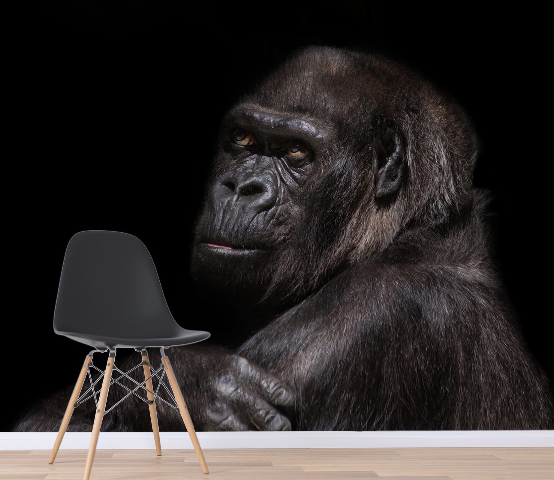 3D Black Orangutan 154 Wall Murals Wallpaper AJ Wallpaper 2 