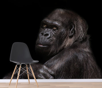 3D Black Orangutan 154 Wall Murals Wallpaper AJ Wallpaper 2 