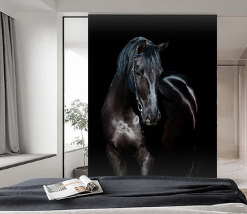 3D Black Mustang 102 Wall Murals Wallpaper AJ Wallpaper 2 