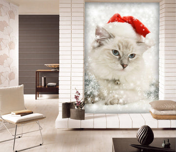 3D White Kitten 114 Wall Murals Wallpaper AJ Wallpaper 2 