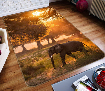 3D Sunset Tree Elephant 194 Animal Non Slip Rug Mat