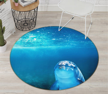 3D Dolphin 082 Animal Round Non Slip Rug Mat Mat AJ Creativity Home 