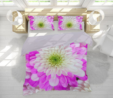 3D Red Chrysanthemum 1024 Assaf Frank Bedding Bed Pillowcases Quilt Quiet Covers AJ Creativity Home 