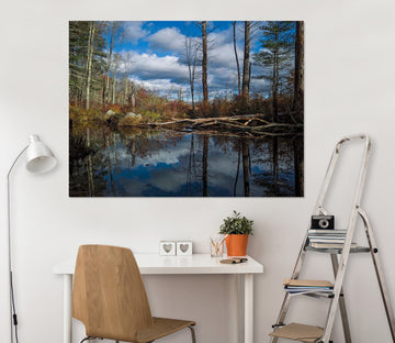 3D Forest Lake 105 Jerry LoFaro Wall Sticker Wallpaper AJ Wallpaper 2 